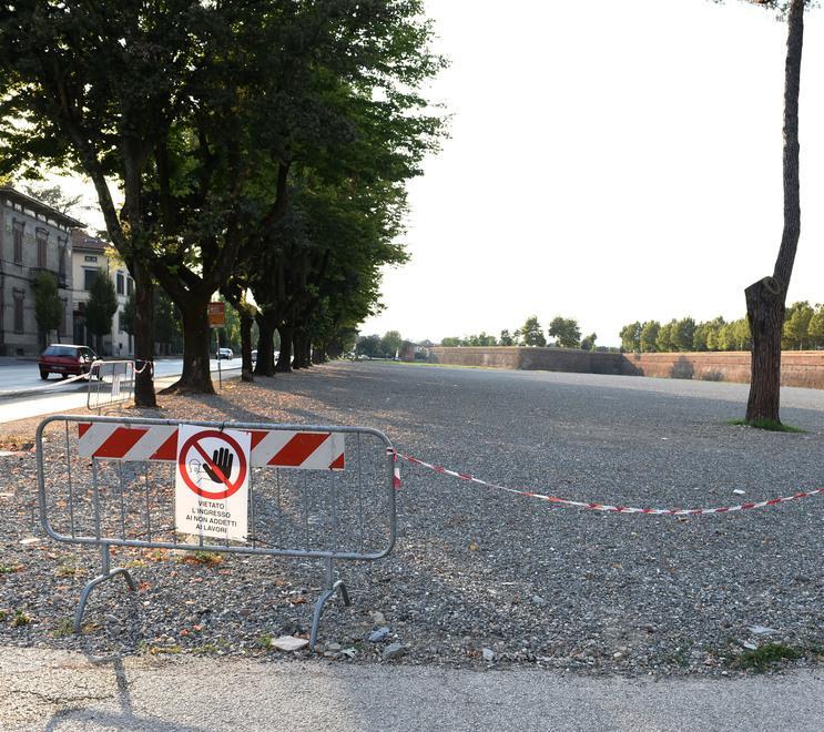 Spalti, quel divieto ambiguo al Campo Balilla 