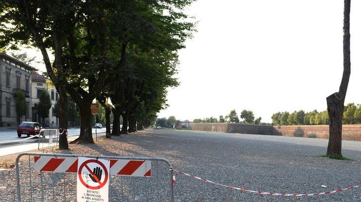 Spalti, quel divieto ambiguo al Campo Balilla