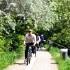 Il Comune pensa alle bici a noleggio 