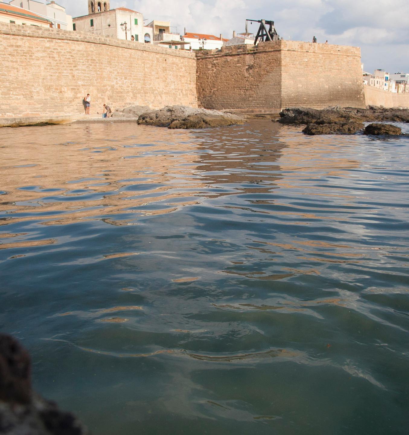 Alghero, sversamento di liquami: il Grig informa la Procura 