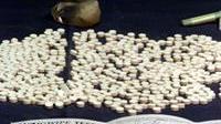 Viareggio, spacciavano ecstasy in discoteca: due arresti