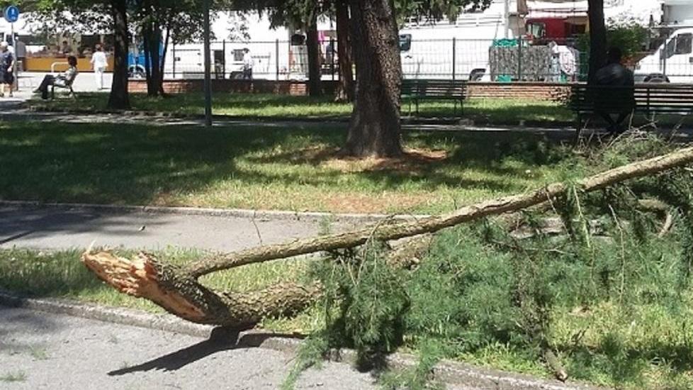 Parchi più sicuri Via a interventi di manutenzione delle aree verdi