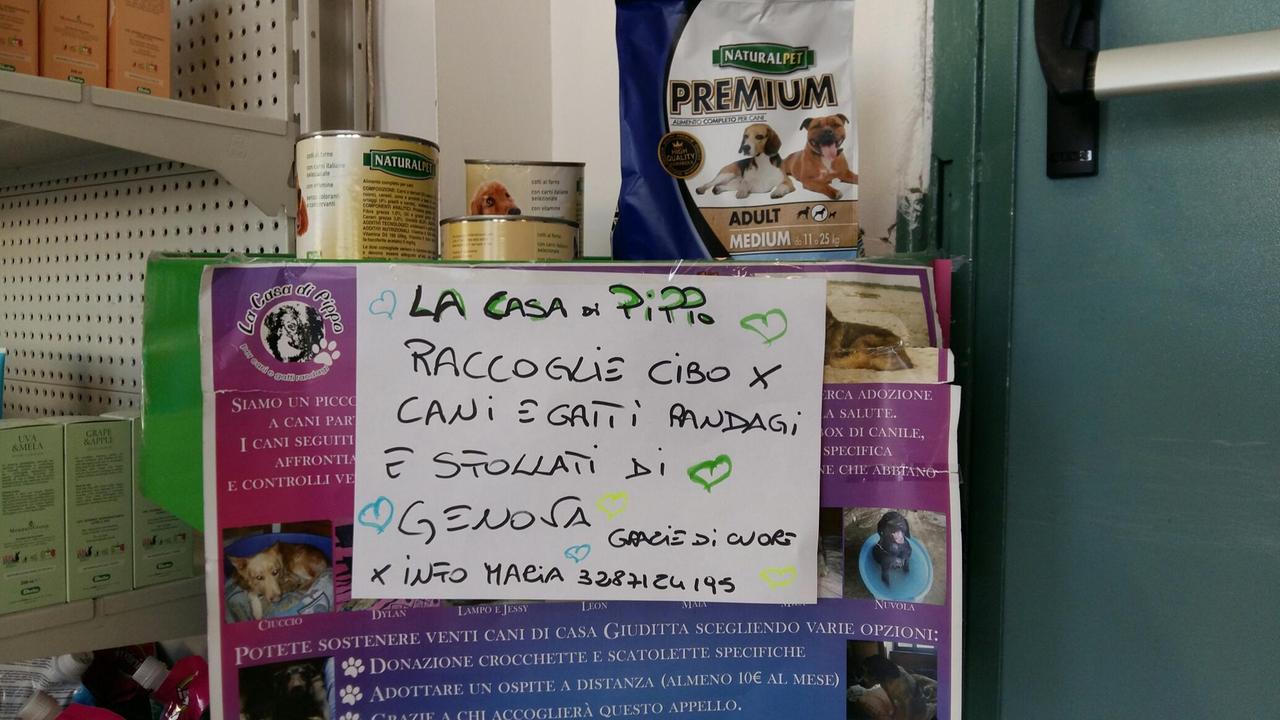Il punto di raccolta di cibo per cani e gatti sfollati