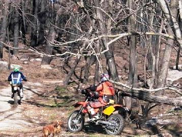 Calcinacci, sacchi neri e moto in zona Parco 