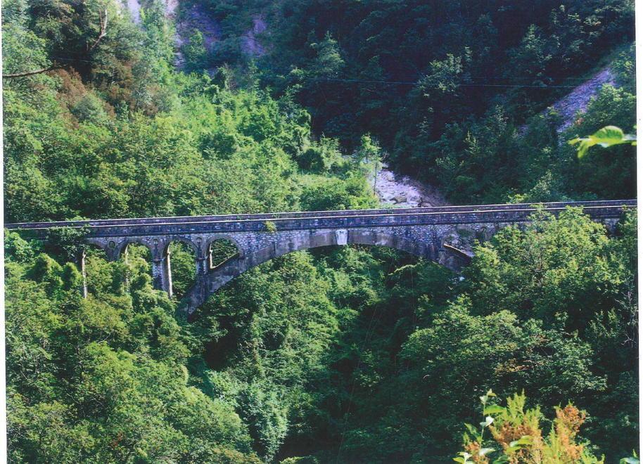 «Quel ponte ha 86 anni, c’è bisogno di una verifica» 
