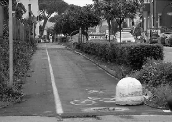 Una pista ciclabile: è polemica sul loro scarso utilizzo       
