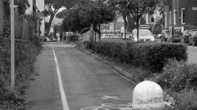 Una pista ciclabile: è polemica sul loro scarso utilizzo