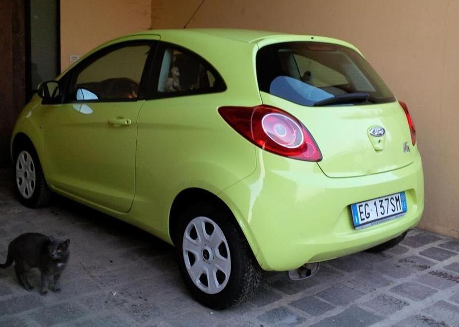Rubata l’auto, appello su Fb