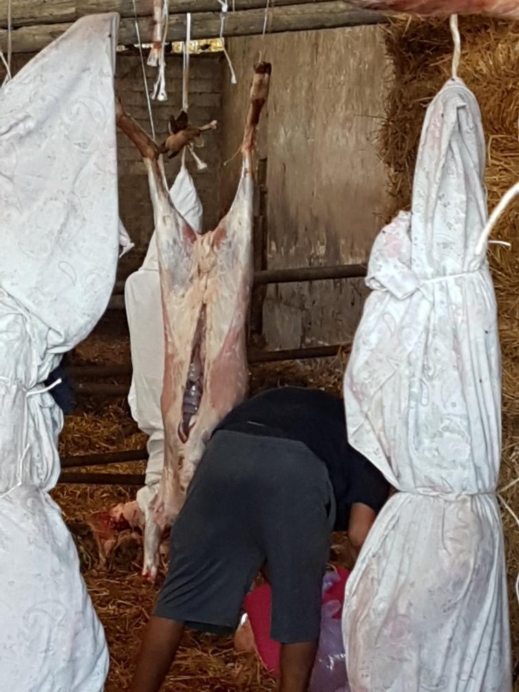 Uno scorcio del macello abusivo