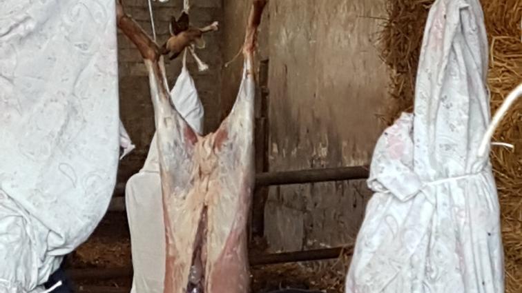 Uno scorcio del macello abusivo