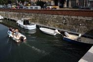 Le alghe minacciano i fossi