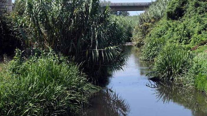 Lavello, nuovo sopralluogo dell’assessore Scaletti