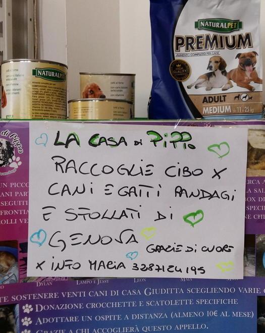 Via alla raccolta di cibo per cani e gatti sfollati dopo il crollo del ponte