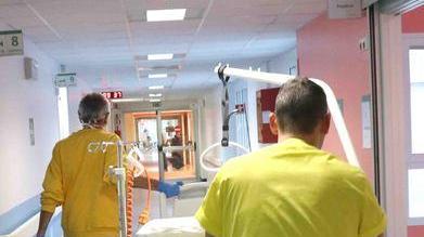 Febbre West Nile c’è un nuovo caso In Malattie Infettive ora è tutto esaurito