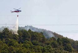 Incendi, distrutta pineta in Versilia
