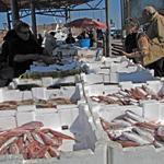 Presi i truffatori del pesce "riciclato"