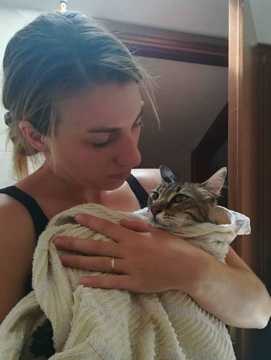 Avvelenato “Pumba” Gattino salvato a Serra Li Pozzi