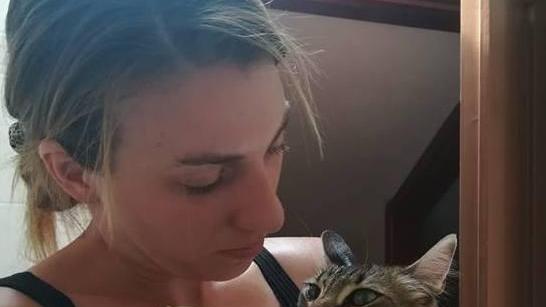 Avvelenato “Pumba” Gattino salvato a Serra Li Pozzi