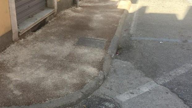 «Marciapiedi da rifare in via Palestro, sono troppo stretti»