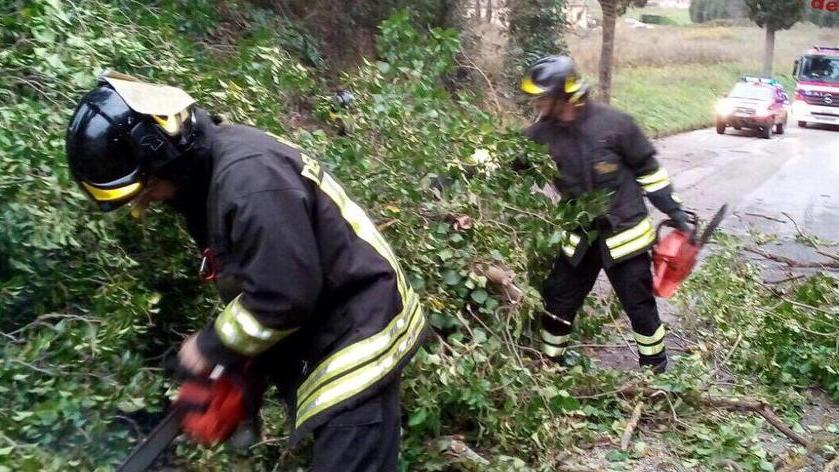 Cade un masso sull’auto in corsa Si salvano in due
