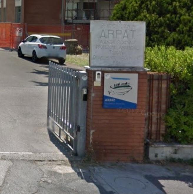 E a Marina di Pisa le alghe tropicali tre volte oltre i limiti