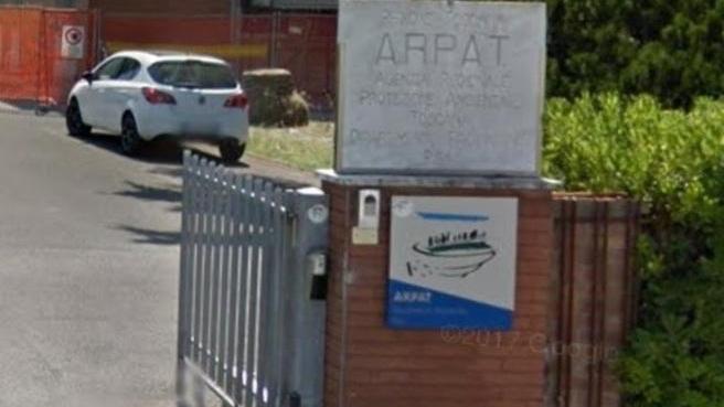 E a Marina di Pisa le alghe tropicali tre volte oltre i limiti