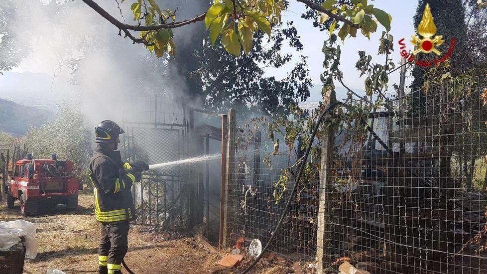 Fiamme in un’oliveta salvi polli e conigli