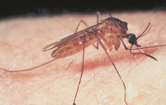 Un tributo di sette vittime, il picco nel 2011 