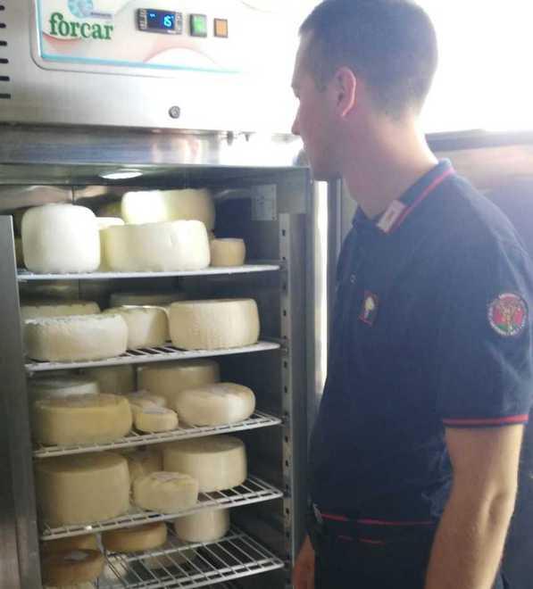 Sequestrati quasi cento chili di formaggio senza etichetta 