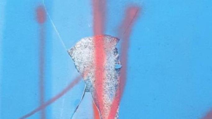 Scritte spray sulla passerella danneggiato il camminamento