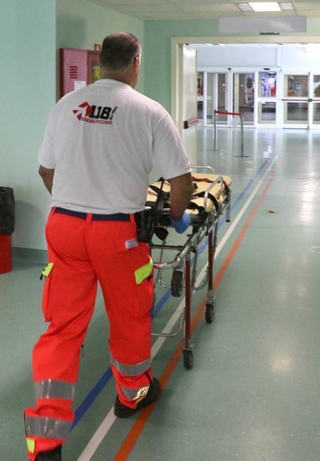 «Mio padre ha l’encefalite da West Nile Ogni giorno può arrivare la brutta notizia»