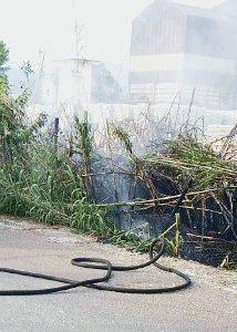 Padule, aziende da trasferire entro tre anni