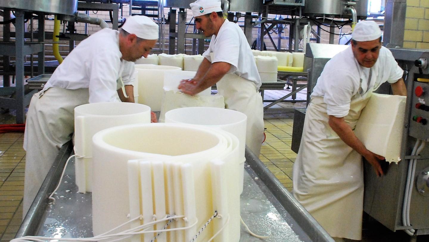 I 50 anni della cooperativa nata con 6 euro di capitale 