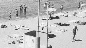 Baratti, scatta il servizio di salvataggio