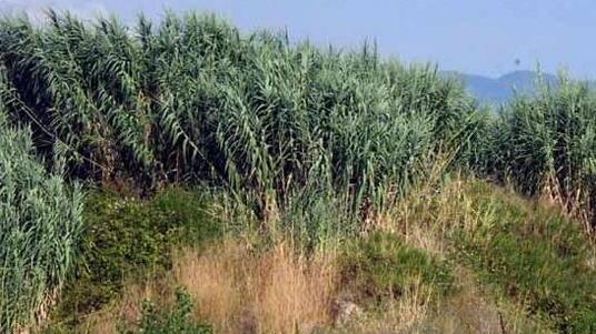 Il ministero dispone nuove analisi sui terreni della ex Farmoplant