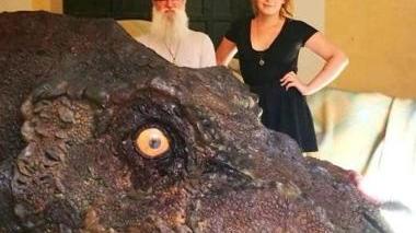 Il Tirannosauro Rex arriva al museo Diocesano