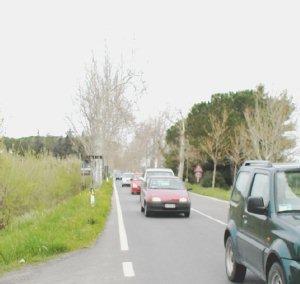La vecchia Aurelia nel tratto in cui è avvenuto l’incidente