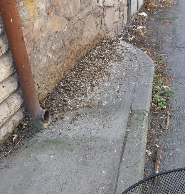 Via Cavalletti dimenticata: i marciapiedi sono sporchi