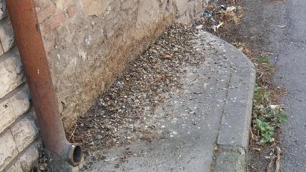 Via Cavalletti dimenticata: i marciapiedi sono sporchi