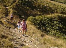 Settecento in Val di Turrite per la marcia di San Rocco 