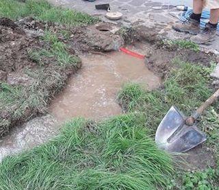 Un fiume d’acqua in giardino «Casa infestata da api e zanzare» 