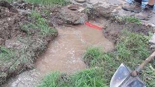 Un fiume d’acqua in giardino «Casa infestata da api e zanzare»