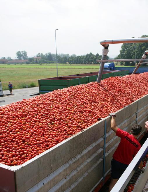 Derivati del pomodoro. Ora l’origine va indicata obbligatoriamente 