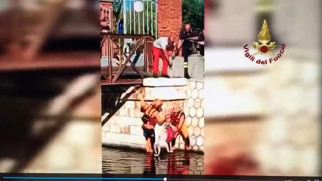 Una sequenza del salvataggio del cane finito nelle saline (foto Mario Rosas)