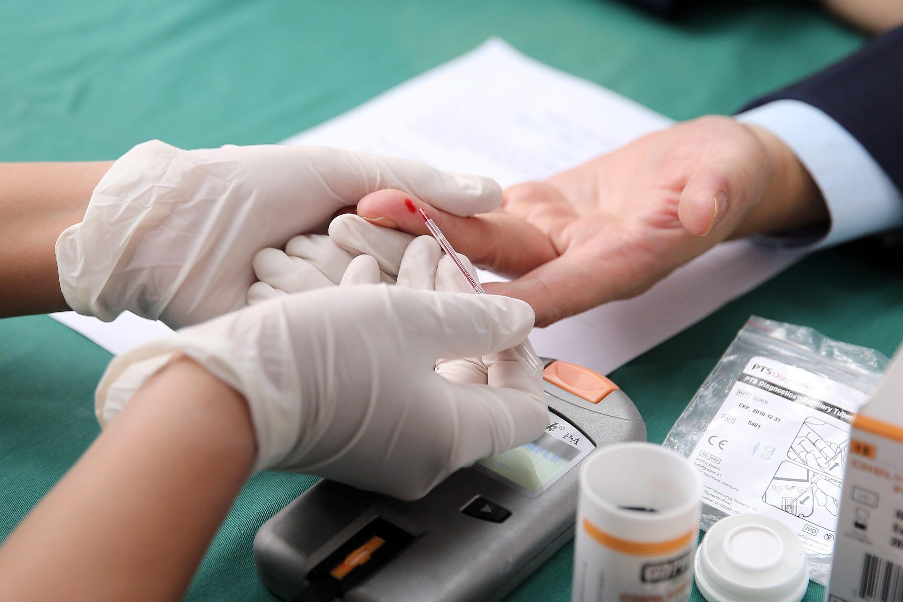 "Col fiuto ti aiuto": anche in Sardegna i cani per i diabetici in crisi glicemica