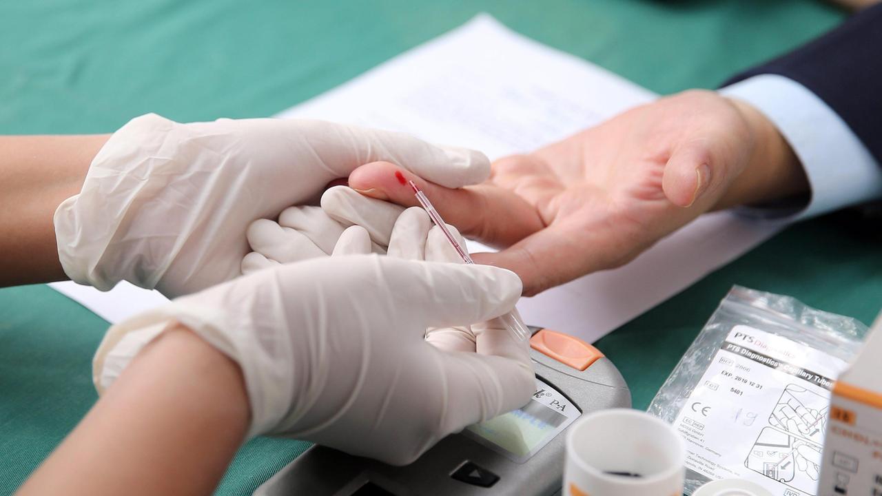 "Col fiuto ti aiuto": anche in Sardegna i cani per i diabetici in crisi glicemica
