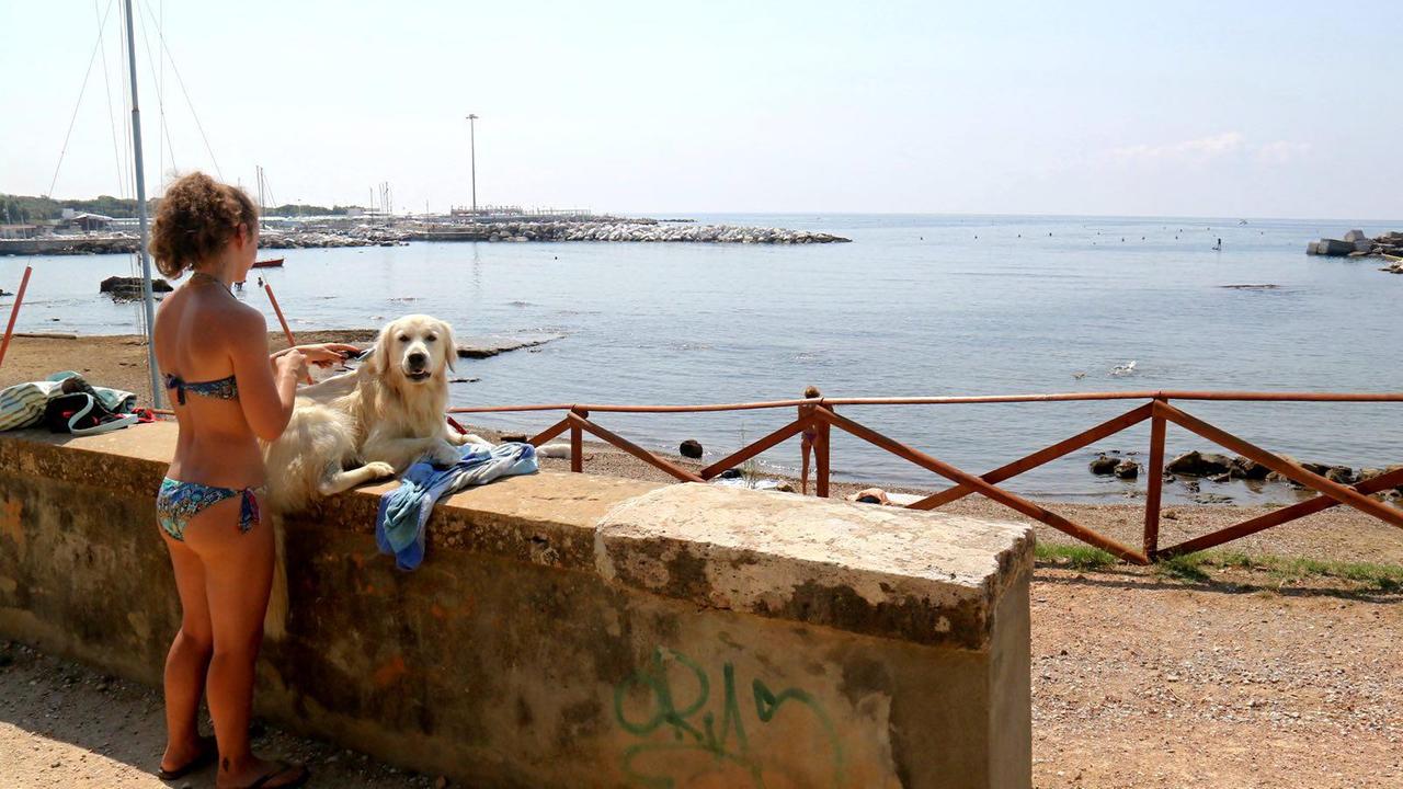 Rio Felciaio, revocato il divieto di balneazione