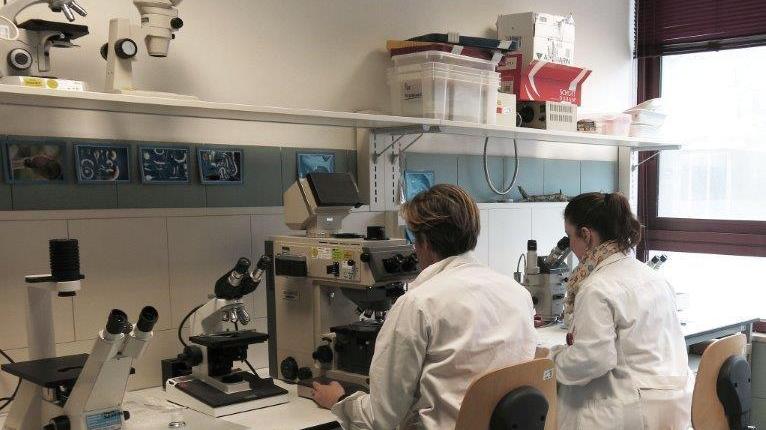 Un laboratorio dell'Arpat (foto d'archivio)