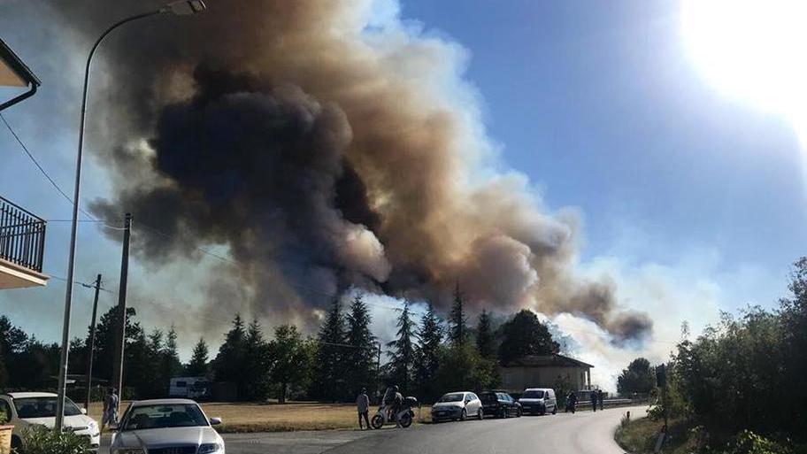 Cerbaie, fiamme nel bosco scatta la caccia al piromane