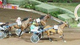 Un arrivo di una corsa all’Ippodromo Sesana